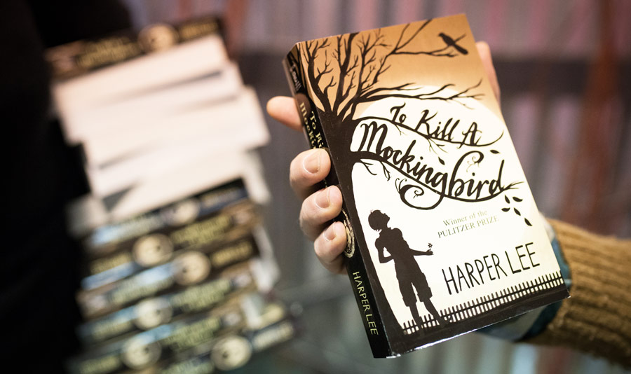 To Kill A Mockingbird by Harper Lee To Kill A Mockingbird by Harper Lee - Express Booksellers - educational book source - classroom sets - staff development - library books